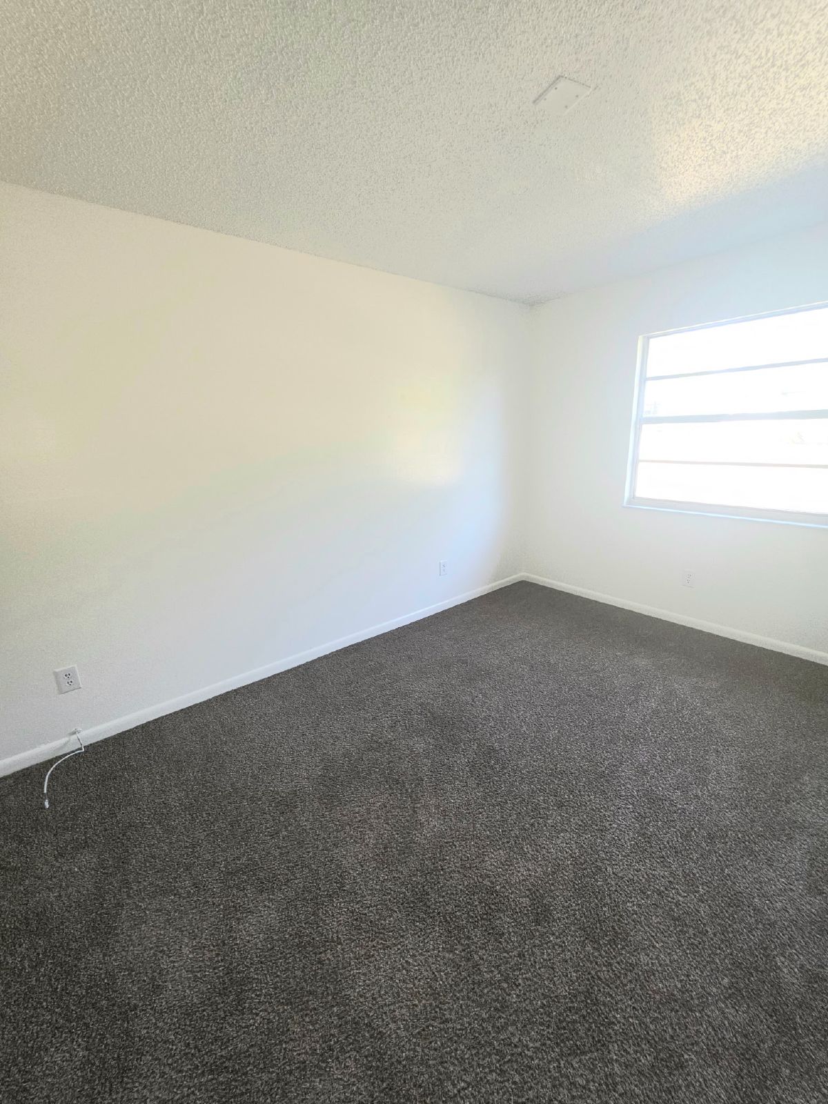 For Rent - 9304 Bahia Rd property image