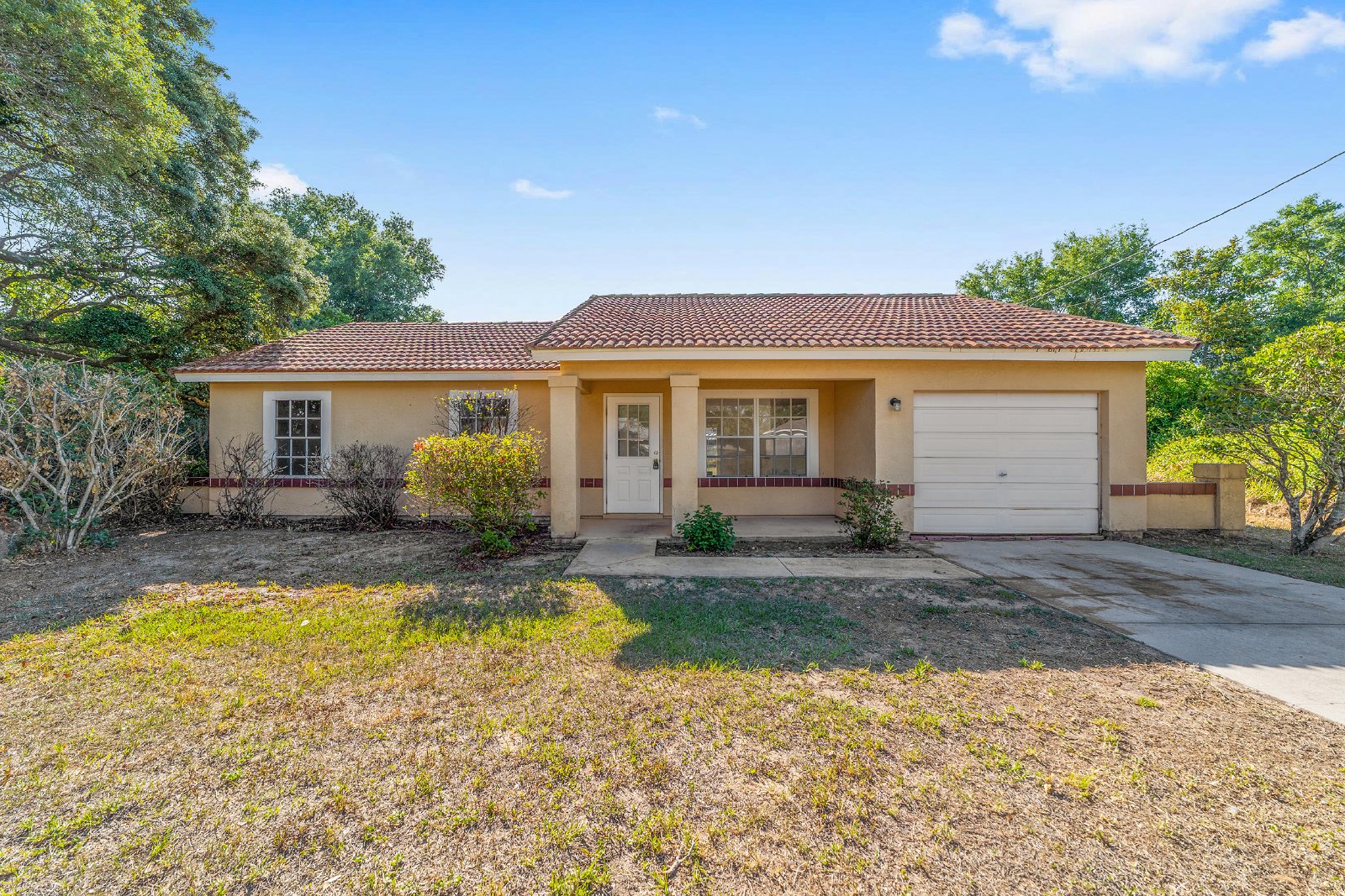 Silver Springs Shores property image