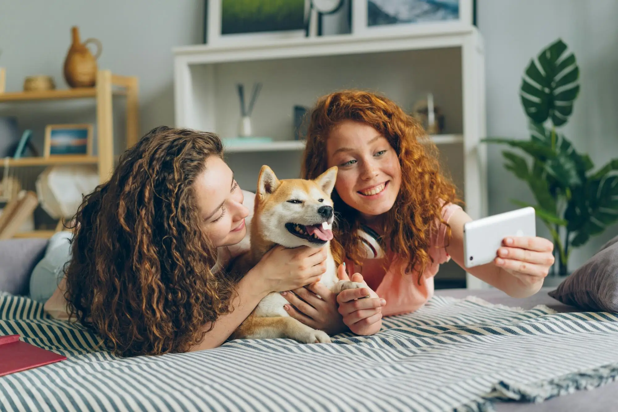 Pros and Cons of Allowing Pets in Your Ocala, FL Rental Property