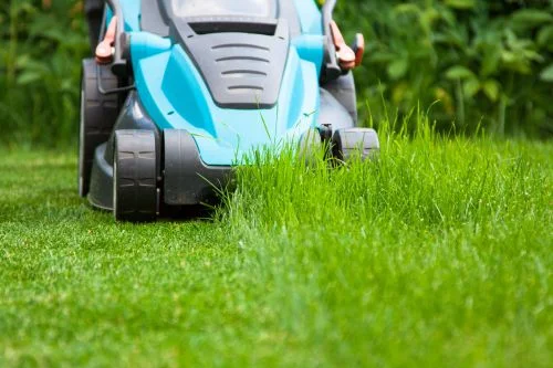 Mowing Grass